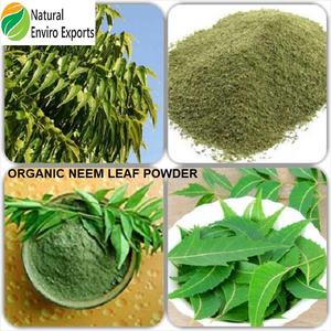 Feuille de neem séchée biologique cueillie à la main utilisée à des fins multiples et poudre de feuille de neem utilisée pour les soins de la peau - Product Image 3