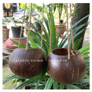 Eco2go Vietnam Pot de fleurs en coque de noix de coco écologique et durable - Style campagnard léger à suspendre pour l'extérieur, design ferme - Product Image 1