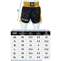 Service OEM de logo personnalisé, shorts de sport 100% polyester, respirants, séchage rapide, écologiques, élastiques, pour Muay Thai et entraînement MMA