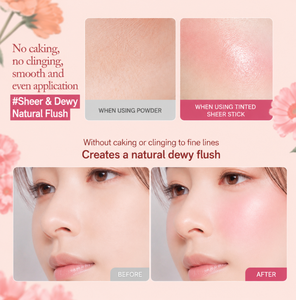 MAKEHEAL Tinted Sheer Stick Blusher 6g Rosy Korean <b>Blush</b> 5 Colors Twist Up Sheer Glow K-Beauty Makeup - Product Image 2