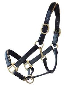 Cabestros de Cuero Premium Estilo Western para Montar a Caballo, Hechos a Mano por Proveedores de Alta Calidad - Product Image 3