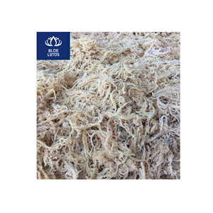 Produit populaire : Algues marines séchées écologiques et sûres, pur algues marines, idéal pour la cuisson de soupes et l'épaississement des aliments, prix direct - Product Image 1