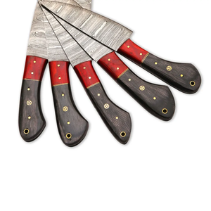 Ensemble de couteaux de chef Damas 5 pièces, couteaux de cuisine professionnels, manche en bois Pakka, faits à la main, ambidextres, 67 couches, durables - Product Image 5