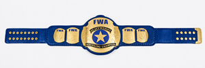 Cinturón de Campeonato de Cuero de Lujo con Placas Metálicas Premium para Lucha Libre, Boxeo, Premios Deportivos y Eventos - Product Image 1