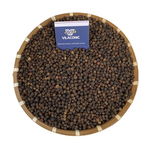 Venta a granel de pimienta negra seca de Vietnam de alta calidad, procesamiento crudo, la mejor cosecha del año, excelente precio - Product Image 1