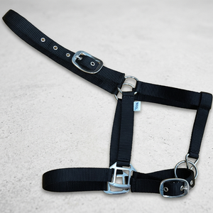 Wholesale Supply Nylon Horse Halter Comfortable Strong Adjustable Headcollar Durable Training Halter Bulk Riding <b>Equestrian</b> - Product Image 5
