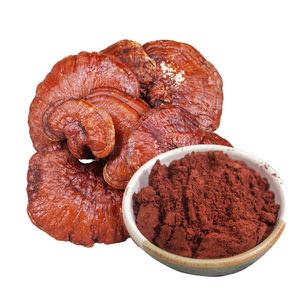 Poudre de Ganoderma Lucidum Pure de Qualité Supérieure 100% Naturelle, Poudre de Champignon Reishi à Base de Plantes pour le Soutien Immunitaire et l'Équilibre Énergétique - Product Image 3