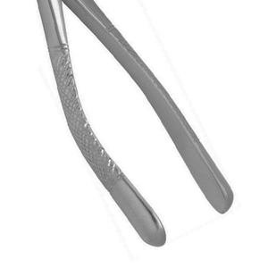 ARISTON INTERNATIONAL Pinzas de Extracción Dental de Alta Calidad con Patrón Inglés, Acero Alemán, Alicates Manuales en Venta - Product Image 3