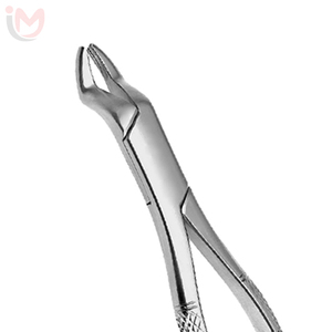 IMANS ENTERPRISES IE-EF-0106 Pince d'extraction pour molaires du troisième quart supérieur, instrument chirurgical dentaire en acier inoxydable avec poignée ergonomique - Product Image 2