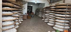 Capullos de seda natural premium de Vietnam |   Suministro a Granel para la Industria Textil y de Cuidado de la Piel - Product Image 6
