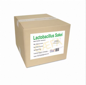 Polvo de Lactobacillus Buchneri de la Mejor Calidad de Uttar Pradesh - Product Image 3