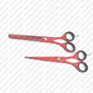 Ciseaux professionnels pour la perte de cheveux, 2 pièces, 6 pouces, ciseaux de coiffure pour salon de coiffure, instrument professionnel en acier inoxydable - Product Image 5