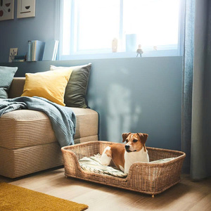 Cama rectangular de mimbre para mascotas, bandeja baja de ratán con cojín estampado, tumbona moderna para gatos y perros pequeños - Product Image 2