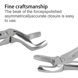 ชุดเครื่องมือถอนฟัน 10 ชิ้น ชุดอุปกรณ์ผ่าตัดช่องปาก ทำจากเหล็กกล้าไร้สนิม คุณภาพสูง - Product Image 2