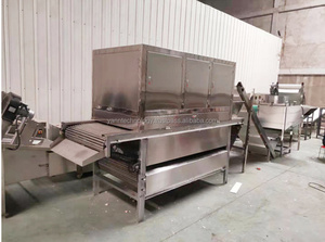 Chaîne entièrement complète Ligne de produits de clous de girofle d'ail à entraînement automatique Ligne de produits de machines à peler Usine de transformation - Product Image 4