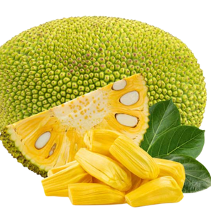 HACCP/ISO Certified 24-Month <b>Shelf</b> Life Darlac Farms Seedless Frozen Jackfruit IQF Bulk Vacuum Pack Private Label OEM Supplier - Product Image 2