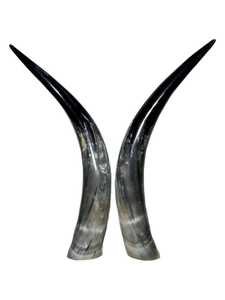 Par de Cuernos Largos de Vaca Auténtica, Decoración Rústica de Estilo Occidental para el Hogar, Cuernos de Búfalo Naturales Pulidos con Tacto Real y Forma Natural - Product Image 3