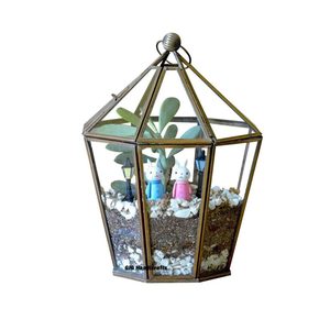 Mini Terrario de Cristal para Suculentas, Musgo y Plantas Aéreas, Recipiente Transparente Artístico y Ecológico, Moderno - Product Image 5