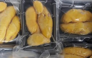 Pulpa de Durian Congelada IQF Envasada al Vacío, Calidad de Exportación de Vietnam - Product Image 3