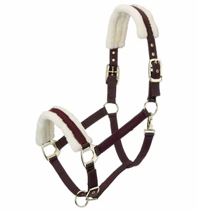 Harnais de cheval en nylon bordeaux avec rembourrage en polaire blanc et boucles métalliques pour l'équitation et l'entraînement - Product Image 1