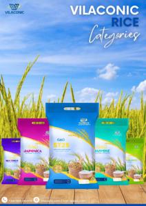 Riz Calrose moyen frais du Vietnam, riz Camolino 100% double trié par Sortex, texture ferme, durée de conservation de 24 mois, sacs PP de 25/50 kg - Usine - Product Image 2