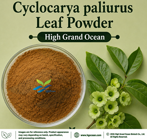 Approvisionnement direct usine HGO de poudre de feuilles de Cyclocarya Paliurus de qualité alimentaire, séchée par atomisation ou lyophilisée - Product Image 1