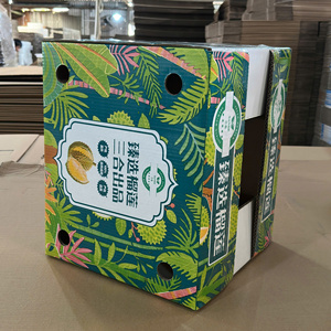 Wholesale Corrugated Durian <b>Packaging</b> Carton Box for Fresh Fruit Export with Ventilation Holes Heavy Duty Shipping Carton - Product Image 4