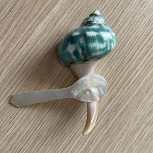 Cuillère en nacre artisanale pour salle à manger gastronomique Cuillère à caviar en nacre - Product Image 2