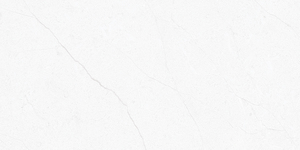 กระเบื้องเซรามิกขัดเงา รุ่น 1045-L ขนาด 300x600 มม. - Product Image 1