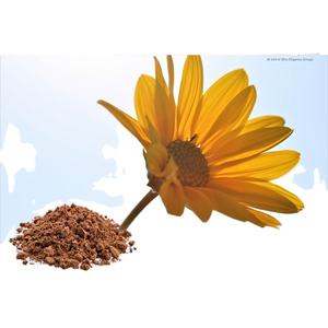 Poudre d'extrait d'arnica de qualité export pour les formulateurs de produits de soins de la peau et de soins personnels - Product Image 1