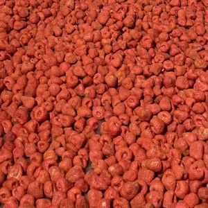 Freeze Dried Strawberry Dices Vietnamese Source Natural Fruit Material Small Pieces Supplies - Product Image 1