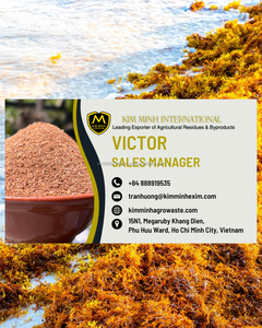 Algues Sargassum Premium, ingrédient naturel pour l'alimentation animale, 30% d'humidité max, durée de conservation de 12 mois pour poissons et bétail, Vietnam - Product Image 6
