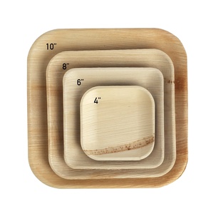 Juegos de vajilla de plástico desechables compostables redondos de 10 pulgadas de la mejor calidad de la India, platos de papel con patrón de planta resistente - Product Image 1