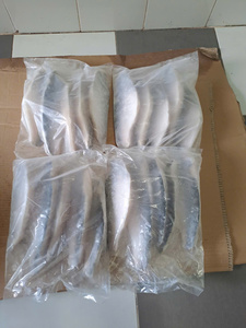 Filete de Pangasius Congelado IQF a Granel con Piel 10-12cm Grado A/B Vietnam 24 Meses de Caducidad - Product Image 1