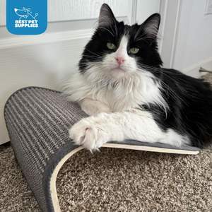 Lit grattoir pour chat de luxe écologique de 26 pouces, en carton, grand format, durable, pour intérieur, avec rembourrage, canapé-lit, jouet amusant - Product Image 1