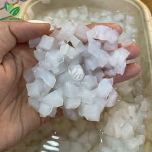 Fournisseur vietnamien de gelée de noix de coco Nata De Coco pour le marché mondial - Product Image 4