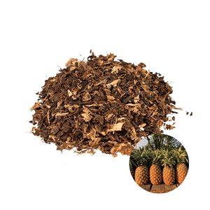 Meilleur prix, fabriqué au Vietnam, best-seller, écorces d'ananas séchées de qualité alimentaire, conformes aux normes internationales, emballées en sacs de 2 kg - Product Image 1