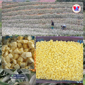 Disponible : Morceaux d'ananas IQF surgelés, tranches coupées en dés, chair jaune naturelle, matière première pour thé aux fruits, yaourt, confiture - Product Image 3