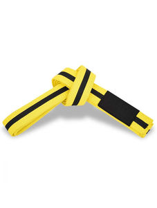 Ceintures d'entraînement de karaté professionnelles en promotion – Logo personnalisé, ajustement ajusté, unisexe, en Spandex/Polyester, faible MOQ - Product Image 4