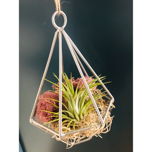 Caja Decorativa de Vidrio con Borde de Latón Vintage, Tapa con Bisagras, Cofre del Tesoro, Contenedor de Vidrio para Terrario, Almacenamiento de Joyas y Centro de Mesa - Product Image 4