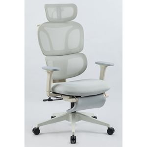 Sedia da Ufficio Ergonomica con Schienale Alto, Supporto Lombare Dinamico, Poggiatesta 2D, Braccioli 2D e Poggiapiedi - Product Image 1