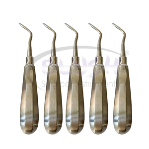 Set of 10 Manual Dental Root Elevators Surgical Instruments for Atraumatic Tooth Extraction Stainless Steel By <b>Blush</b> Surgical - Product Image 4