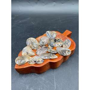 พลอยไทเกอร์เดนไดรต์ทรงคาโบชองธรรมชาติ ขนาด 3-5 ซม. ขัดเงา รูปทรงอิสระ รูปไข่ รูปวงกลม สำหรับทำเครื่องประดับ พลอยหลวม - Product Image 1