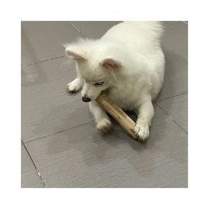 Organic Coffee Wood Dog Chew for Healthy Teeth Non-Toxic Eco-Friendly Hanoi 99GD Wholesale with Good <b>Deal</b> Vietnam Company - Product Image 1