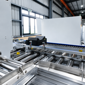 Industrial Roller Conveyor System With Metal Frame For Assembly Line Handling Semi Automatic - Product Image 1