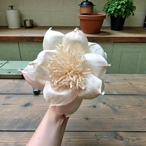 Flor de Madera Sola VADEE, Hecha a Mano, Sostenible, ANIKA, Flor de Madera Sola de 8.5 CM, Fibra de Planta de Sesbania, Modelo VDXXX-030 - Product Image 1