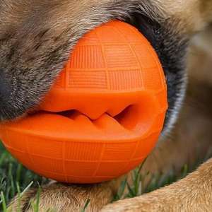 Giocattolo Interattivo in Gomma per Animali Domestici, Palla da 6 cm in Verde, Blu, Rosso e Arancione per Cani Pomeranian e Gatti - Product Image 5