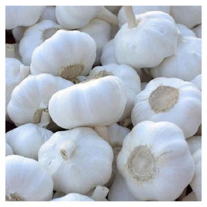 Natural <b>Fresh</b> <b>Garlic</b> Bulk Export Supplier Premium Quality <b>Garlic</b> Bulbs for Global Buyers and Wholesale Markets - Product Image 6