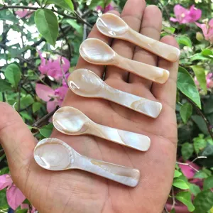 Restaurant de luxe Hôtel Dîner Mère de Perle Cuillère Shell Caviar Cuillère Fait à la main Vietnam Aide à garder toute la saveur du Caviar - Product Image 1