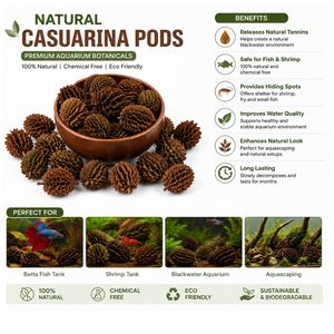 AQUA VRIKSHA Cápsulas de Casuarina Naturales para Acuarios, Peceras de Betta, Peceras de Camarones y Acuapaisajismo |   Paquete de 10 - Product Image 1